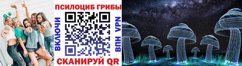 omg онион  Краснодар  Псилоцибиновые грибы Cubensis 